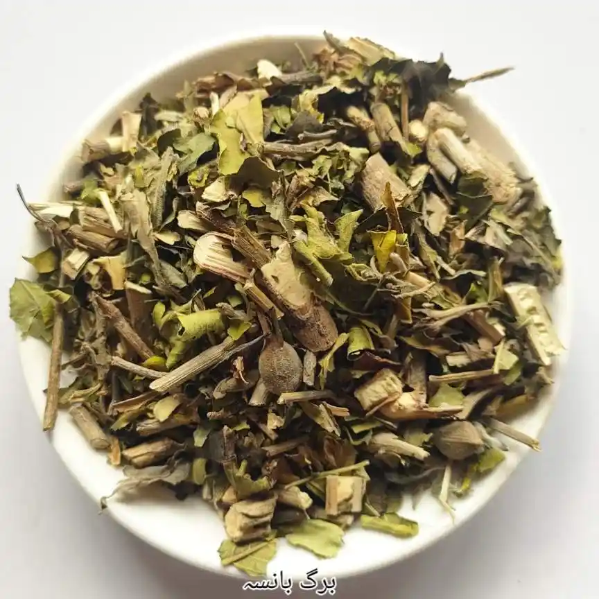 <p class="ql-align-right" dir="rtl"><strong>اردو نام:</strong> برگ بانسہ</p><p> <strong>Roman Urdu:</strong> Barg Bansa</p><p> <strong>انگریزی نام:</strong> Adhatoda Leaves / Malabar Nut Leaves</p><p> <strong>ہندی نام:</strong> वासा के पत्ते / अडूसा के पत्ते</p><p><br></p>